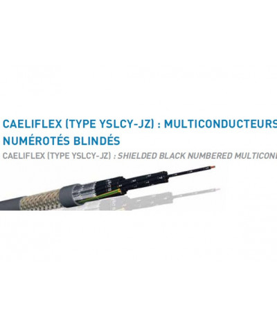 CAELIFLEX 7G1 BLINDE YSLY CYJZ